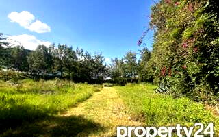 KSh 35M Half Acre in Karen