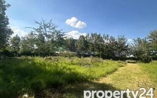 KSh 35M Half Acre in Karen