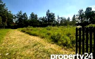 KSh 35M Half Acre in Karen
