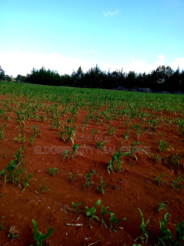 4 Acres Cheplasgei With Title