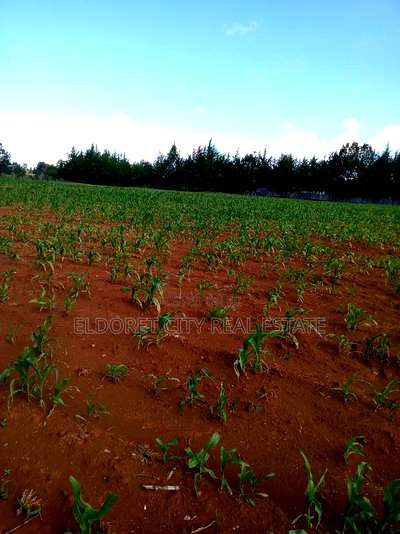 4 Acres Cheplasgei With Title - Image 2