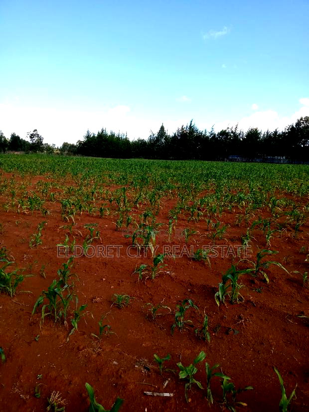 4 Acres Cheplasgei With Title