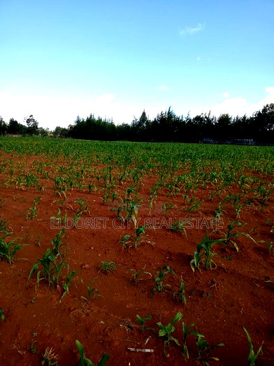 4 Acres Cheplasgei With Title - Image 1