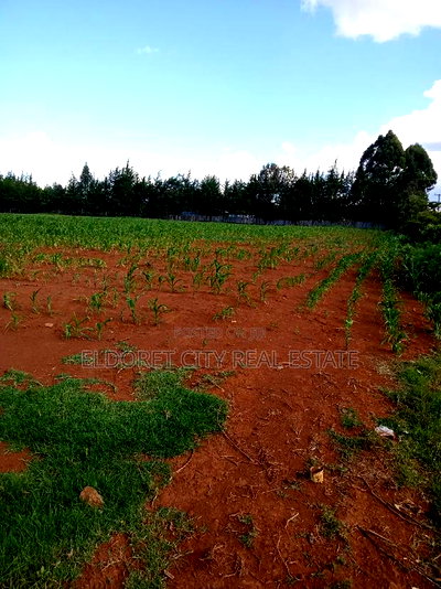 4 Acres Cheplasgei With Title - Image 3