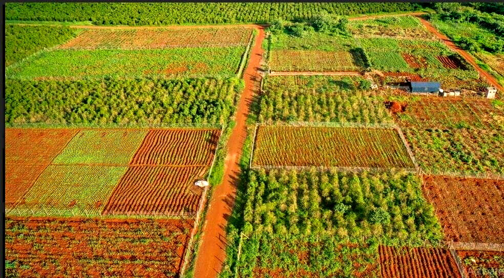 1/2 Acre Commercial Plot with Garden
