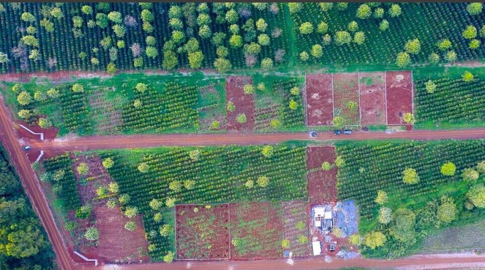 1/2 Acre Commercial Plot with Garden