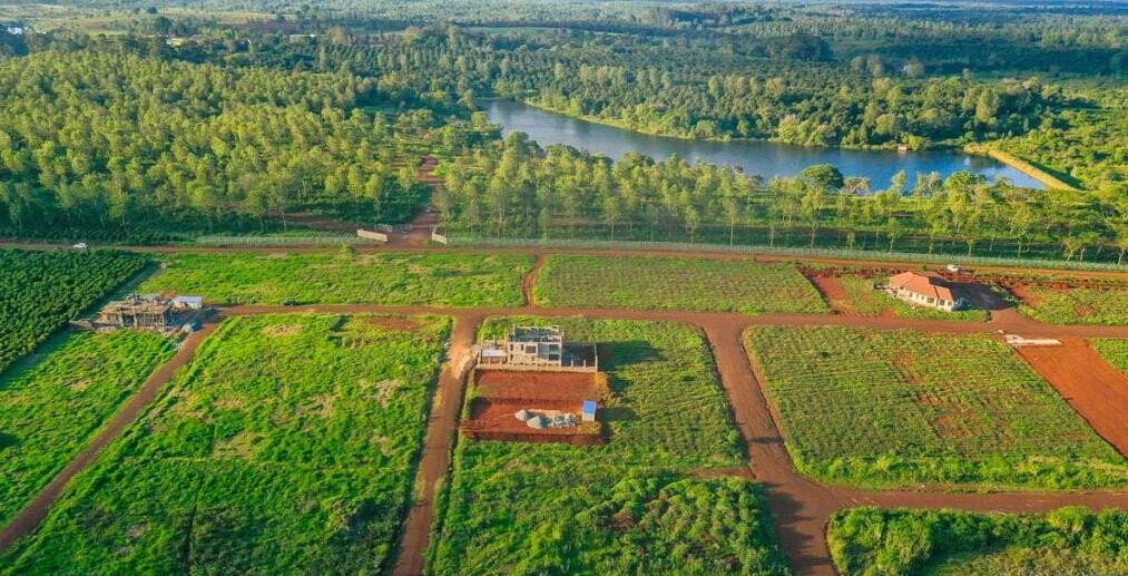 1/2 Acre Commercial Plot with Garden