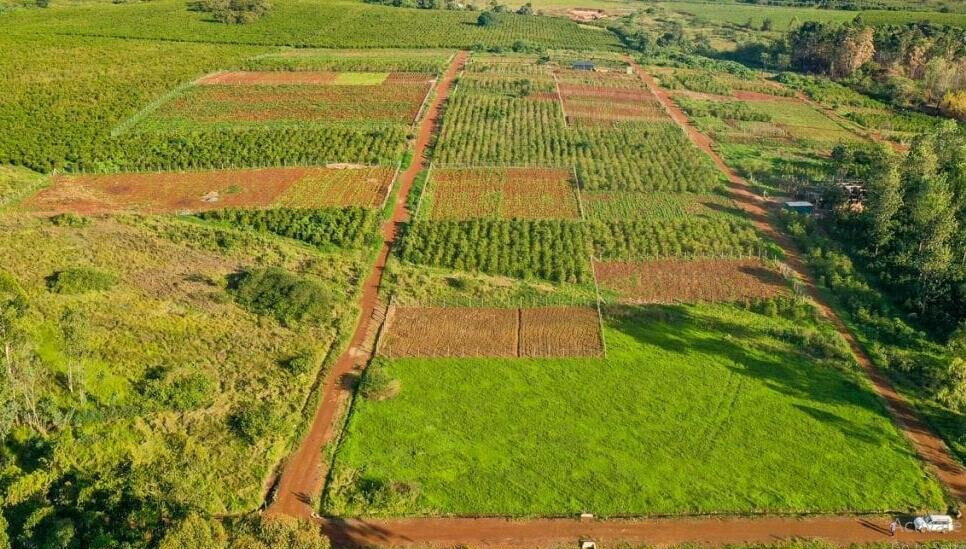 1/2 Acre Commercial Plot with Garden