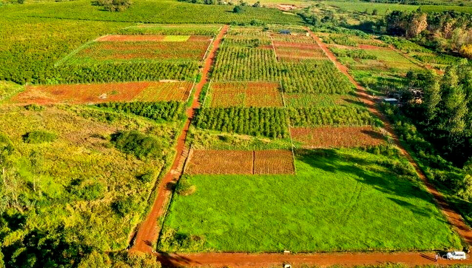 1/2 Acre Commercial Plot with Garden