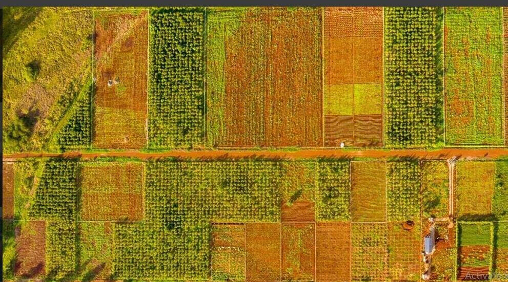 1/2 Acre Commercial Plot with Garden