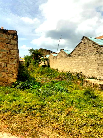 1/4 Plot in Kabati Kenol for Sale - Image 5