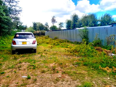 Plot Slightly Bigger Than Eight Nanyuki Baraka - Image 3