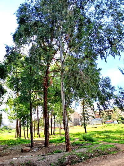 Kasarani Plot on Sale, Clay Works - Image 6