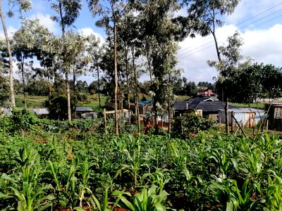 Prime Residential Plot for Sale 0.05ha - Image 2