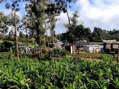 Prime Residential Plot for Sale 0.05ha - Image 4