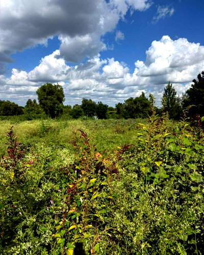 1 Acre Land in Ol Keri for KSh 22M