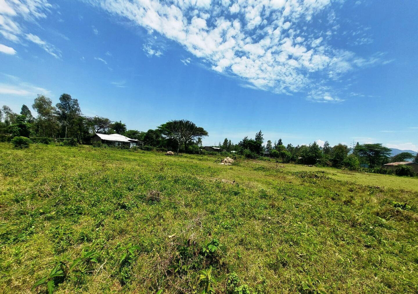 Chiga Residential Plot for KSh 600K