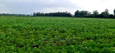 35 Acres Prime Land for Sale in Marura After Kimumu Eldoret - Image 1