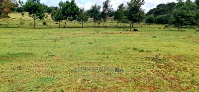 35 Acres Prime Land for Sale in Marura After Kimumu Eldoret - Image 3