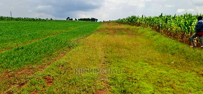 35 Acres Prime Land for Sale in Marura After Kimumu Eldoret - Image 2
