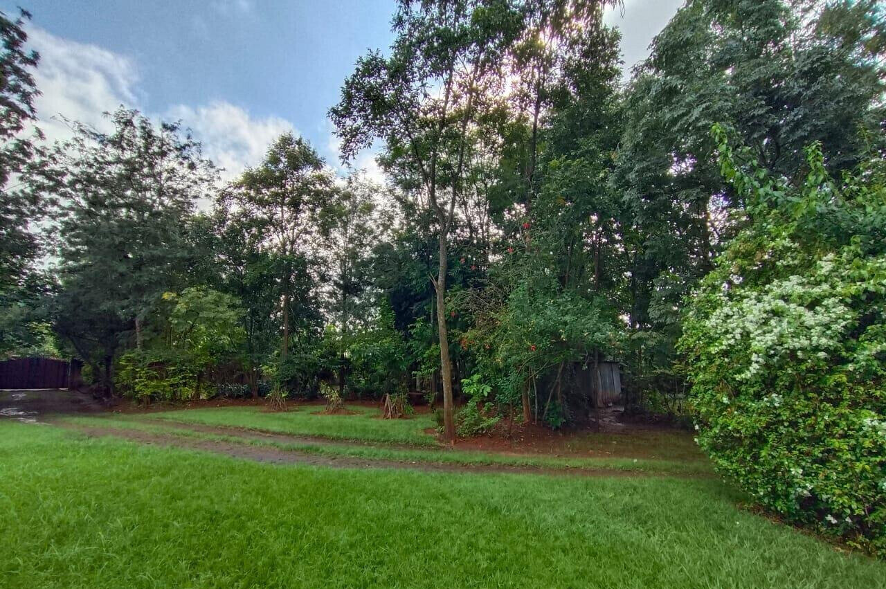 Half Acre in Karen at 40M
