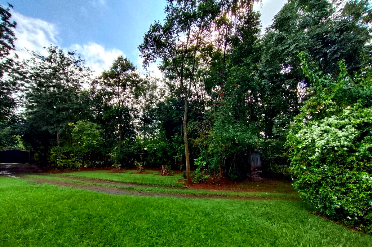 Half Acre in Karen at 40M