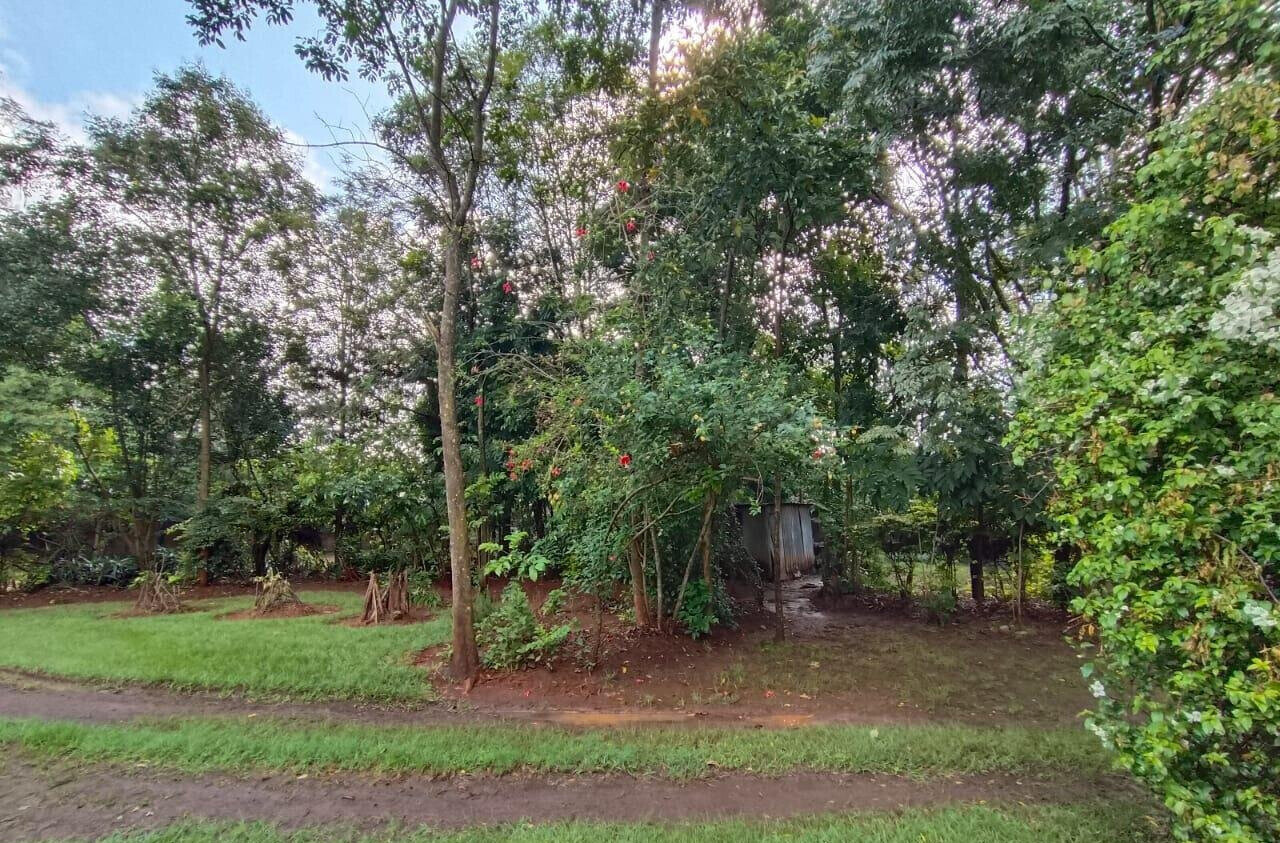 Half Acre in Karen at 40M