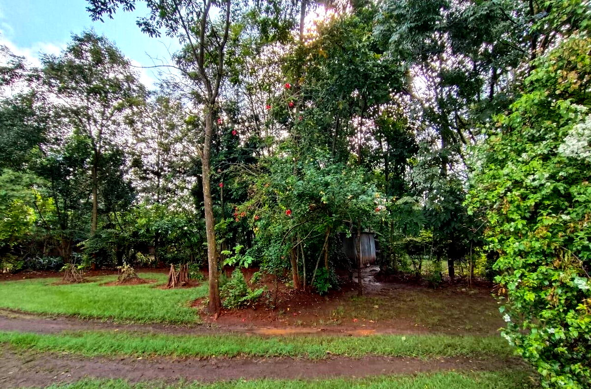 Half Acre in Karen at 40M