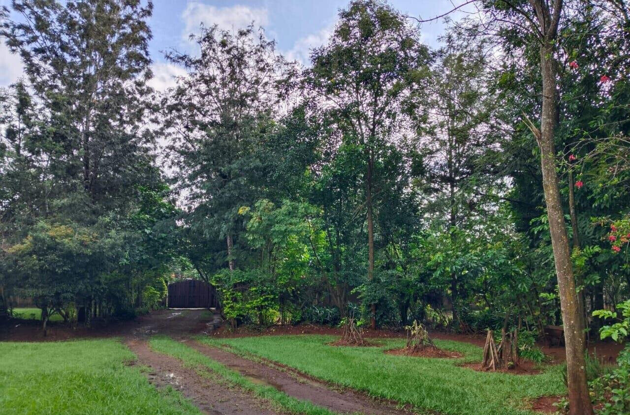Half Acre in Karen at 40M