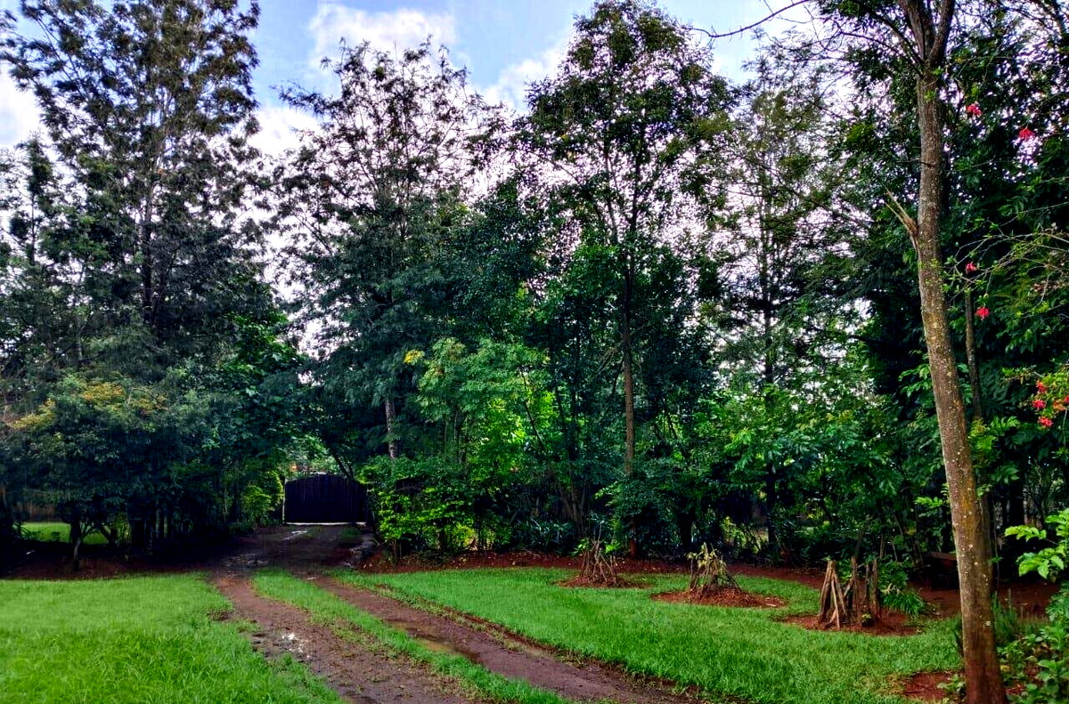 Half Acre in Karen at 40M