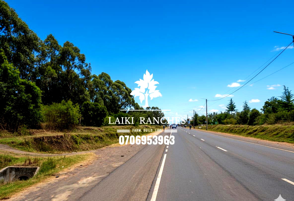 KSh 4M Commercial Plot with Garden