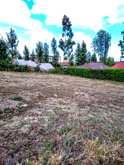 Ololua 1/4 Acre at 7m - Image 4