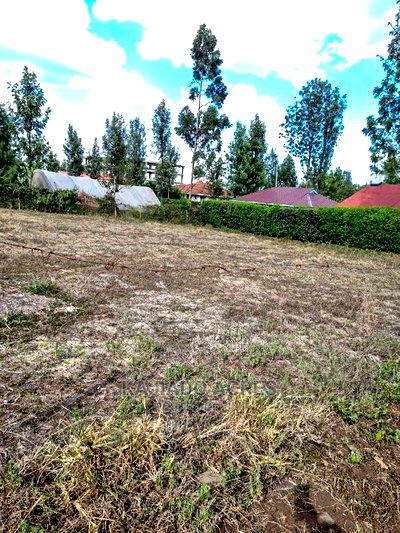 Ololua 1/4 Acre at 7m - Image 5