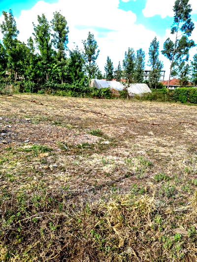 Ololua 1/4 Acre at 7m - Image 1