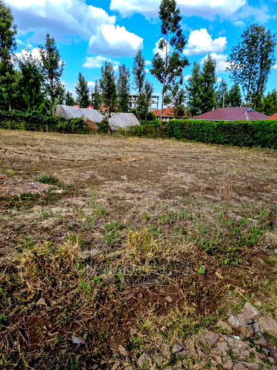 Ololua 1/4 Acre at 7m - Image 3