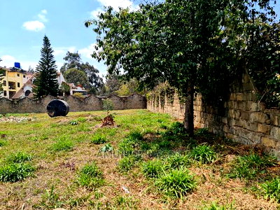 0.4 Acre Plot for Sale - Image 1