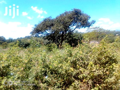 21 Acres At Yongela, Mbitini.Kitui - Image 1