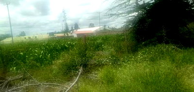 Plots for Sale - Image 4