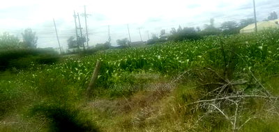 Plots for Sale - Image 3