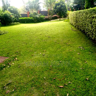 Plots for Sale - Image 5