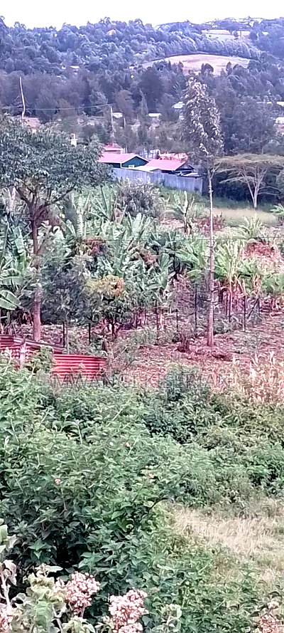 100by 100 Ya Red Soil for Sale in Kiserian - Image 4