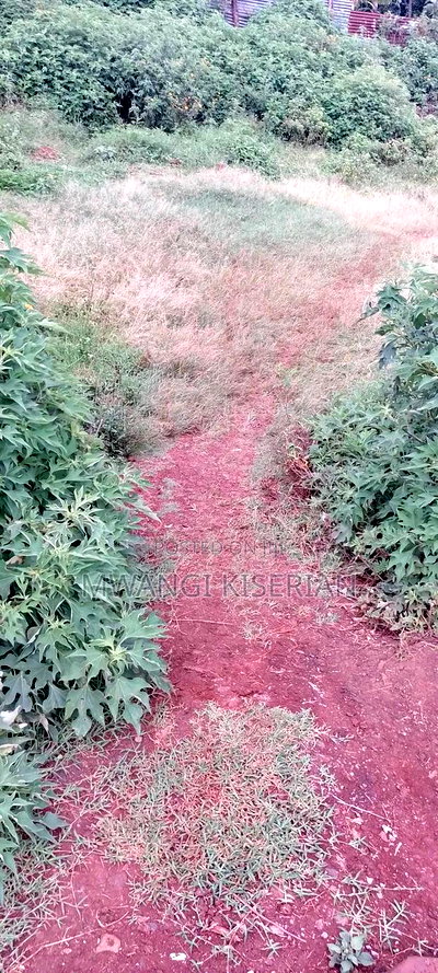 100by 100 Ya Red Soil for Sale in Kiserian - Image 6
