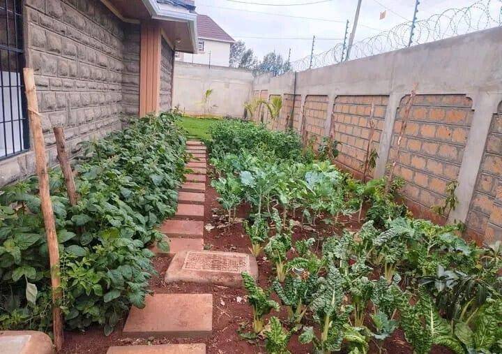 KSh 120K 5BR Garden Home