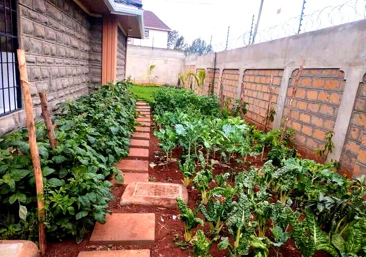 KSh 120K 5BR Garden Home