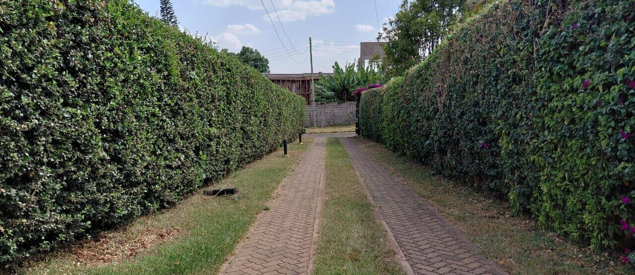 0.15 Acre 5BR Garden Home