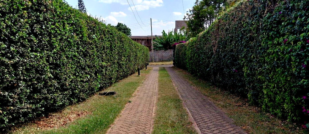 0.15 Acre 5BR Garden Home