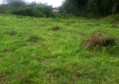 1/8 Acre Plot in Ngong CBD at KSh 2M