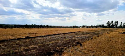 Kitengela Plains 2,500mtrs Off Tarmac - Image 1