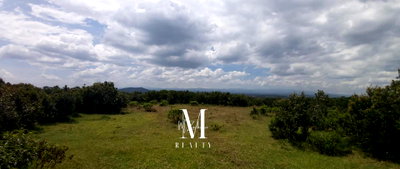 7-Acre Countryside Retreat in Othaya