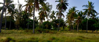 1-Acre Land in Gede, Kilifi